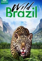  Дикая Бразилия смотреть онлайн тв шоу 1-2 сезон 