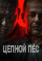  Цепной пёс смотреть онлайн Цербер (2024) 
